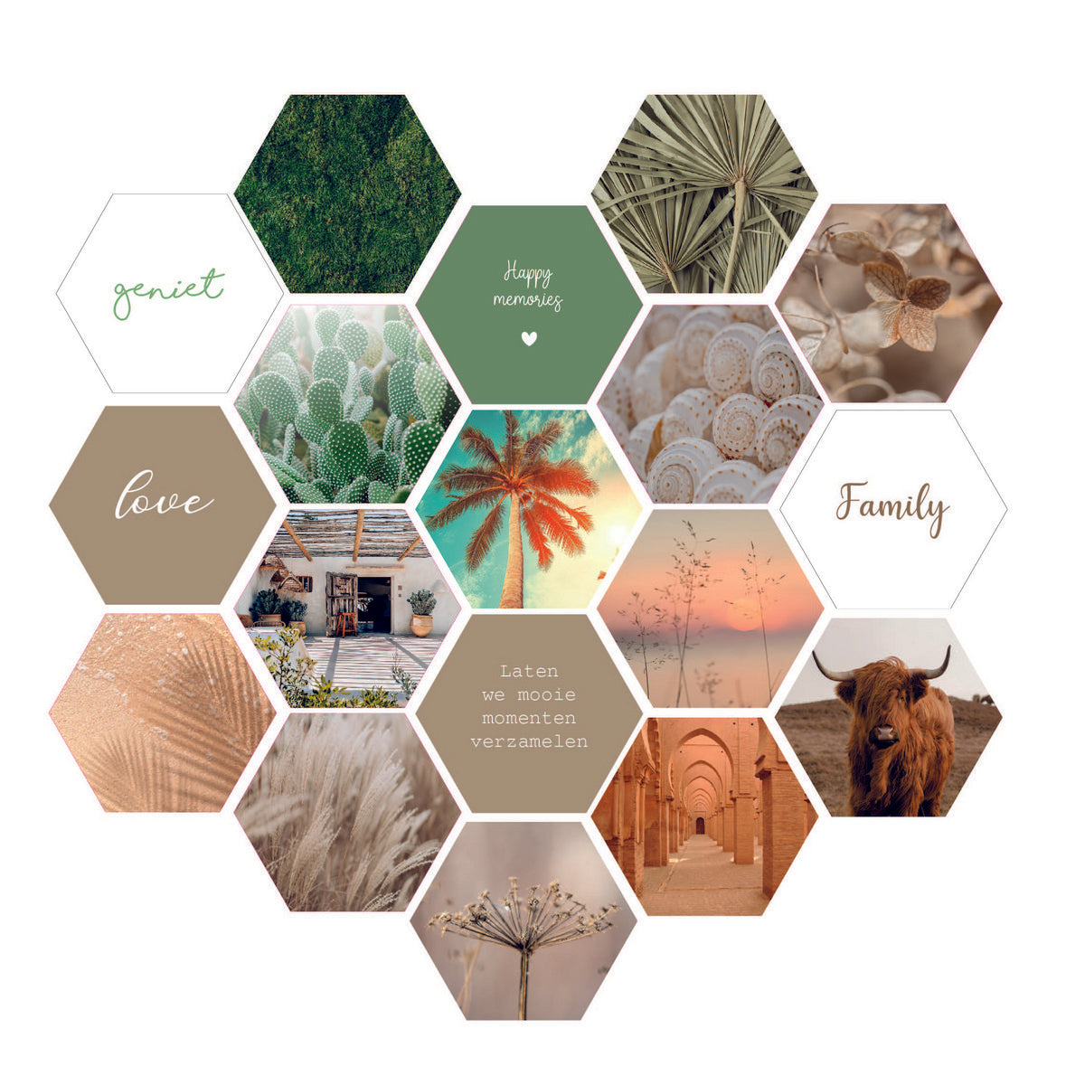 Hexagon Blad
