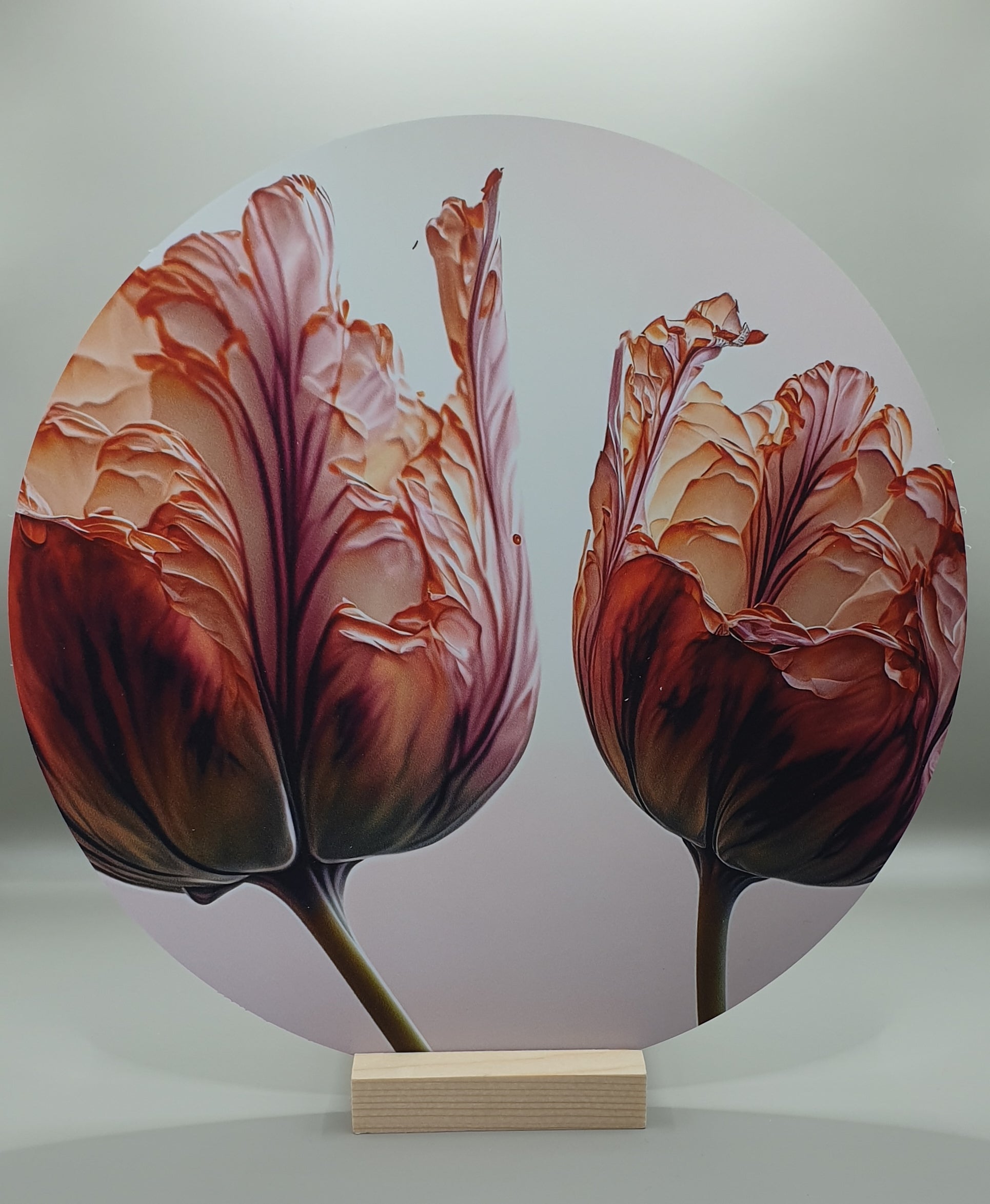Muurcirkel Tulp