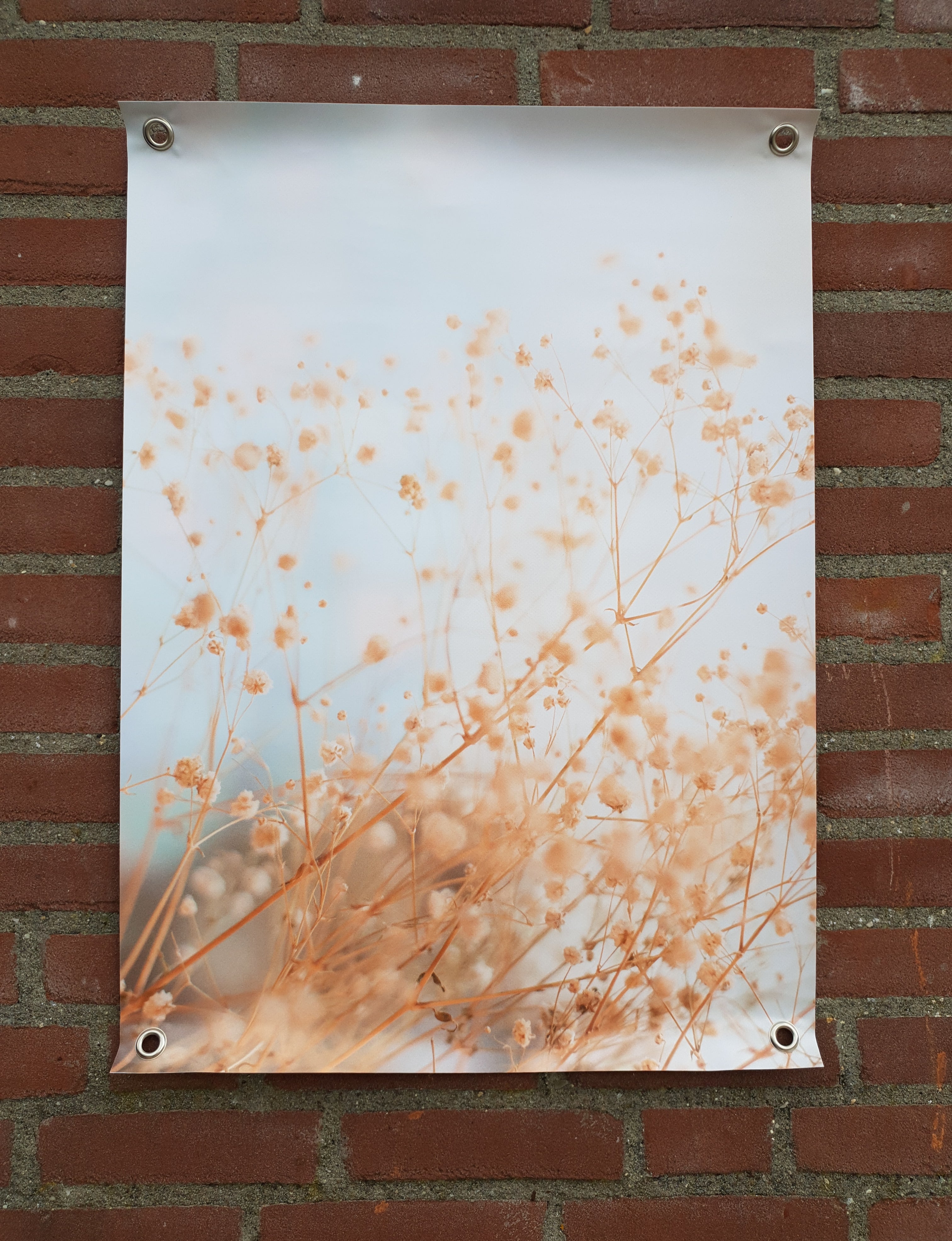 Tuin Poster