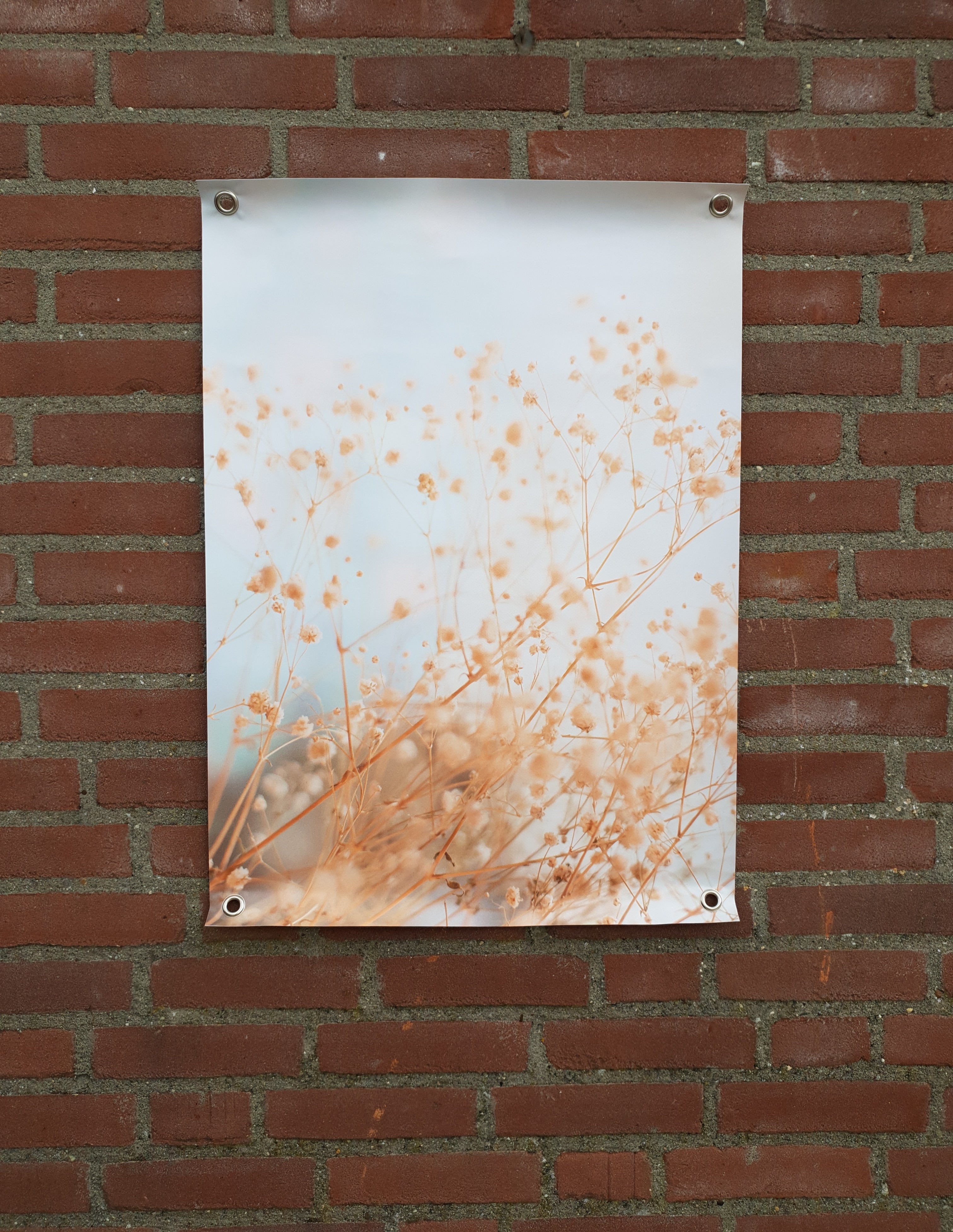 Tuin Poster