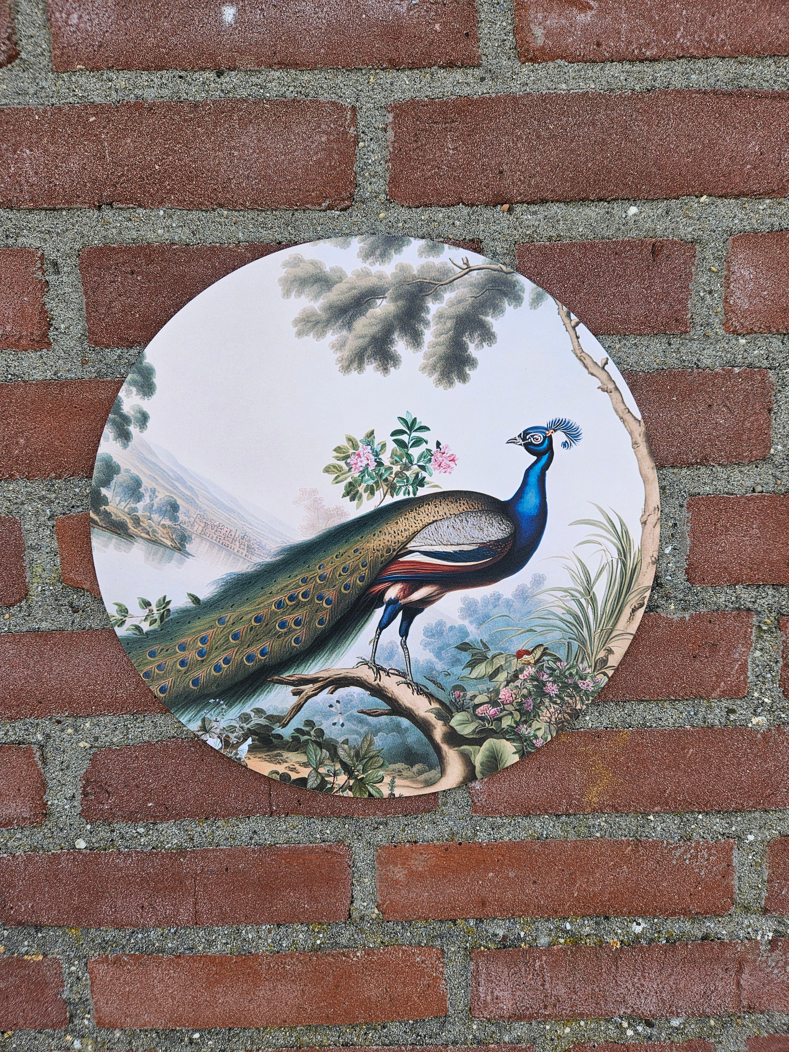 Pauw L