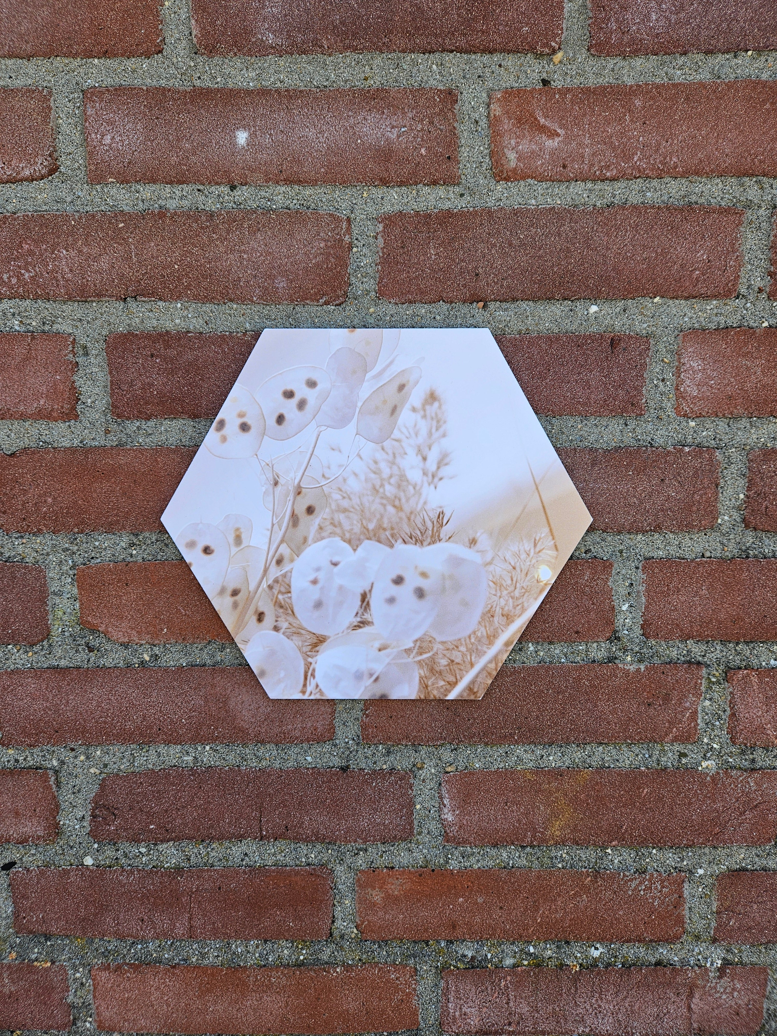 Hexagon Blad