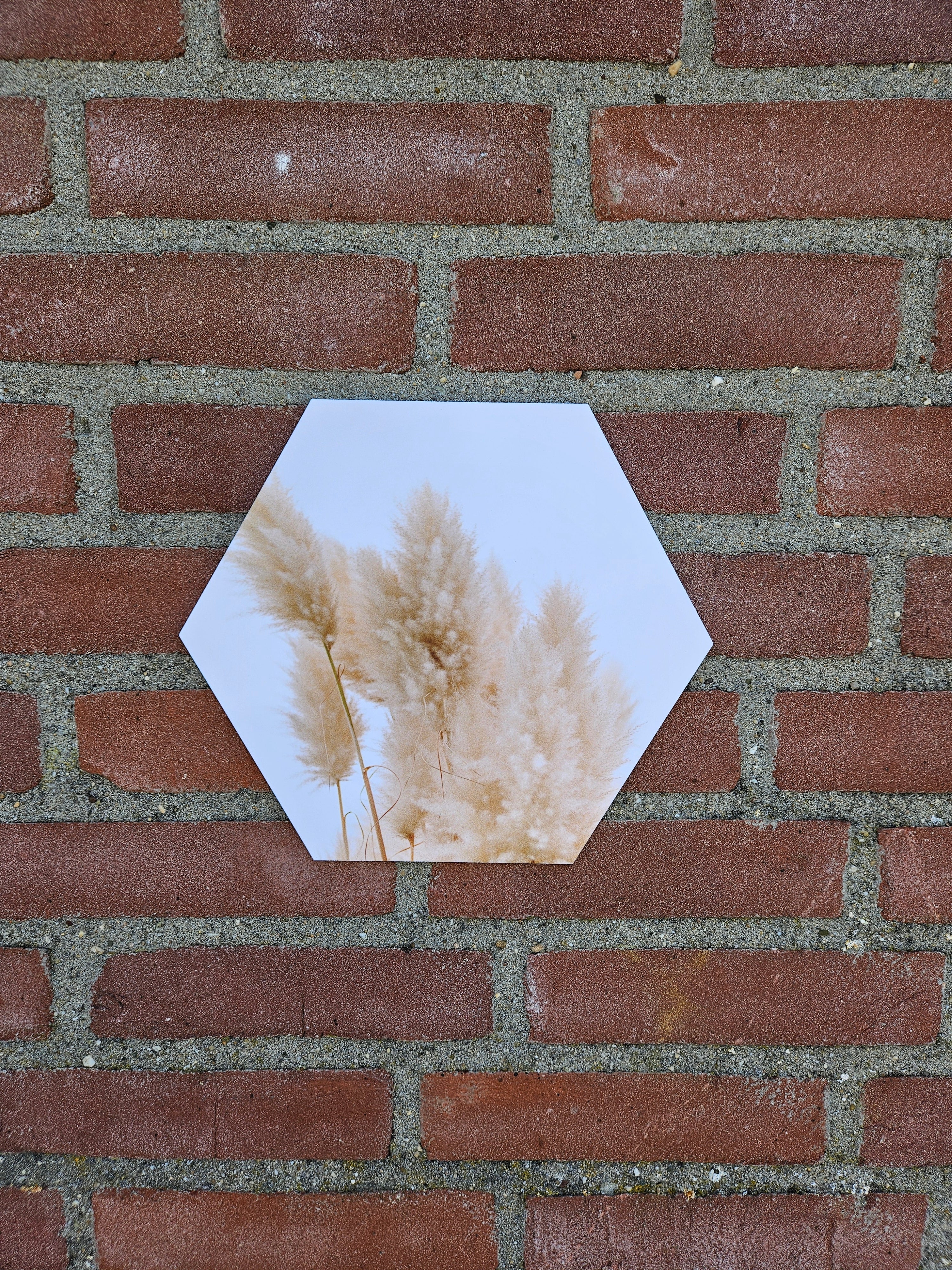 Hexagon Pluim