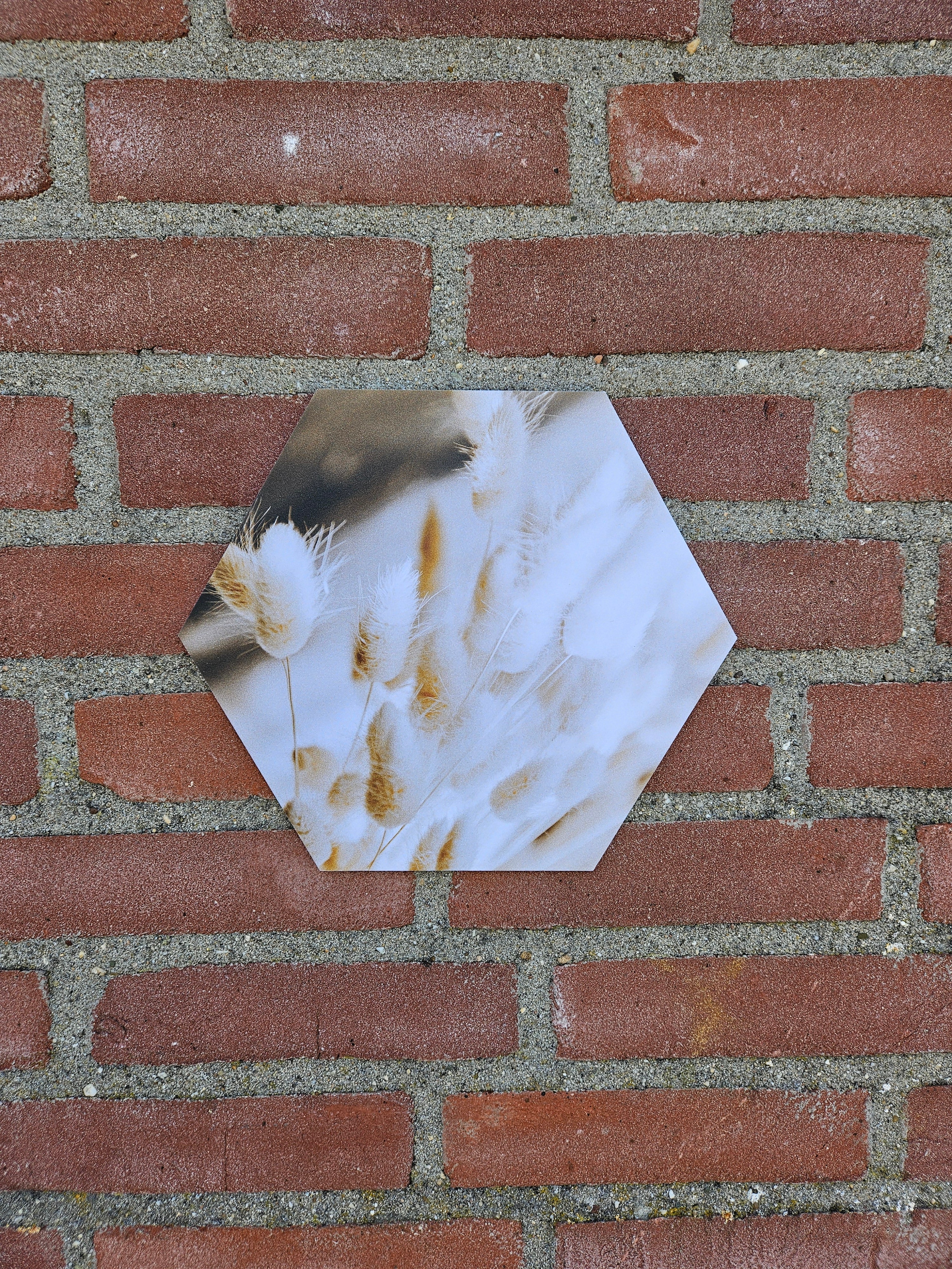 Hexagon Katjes