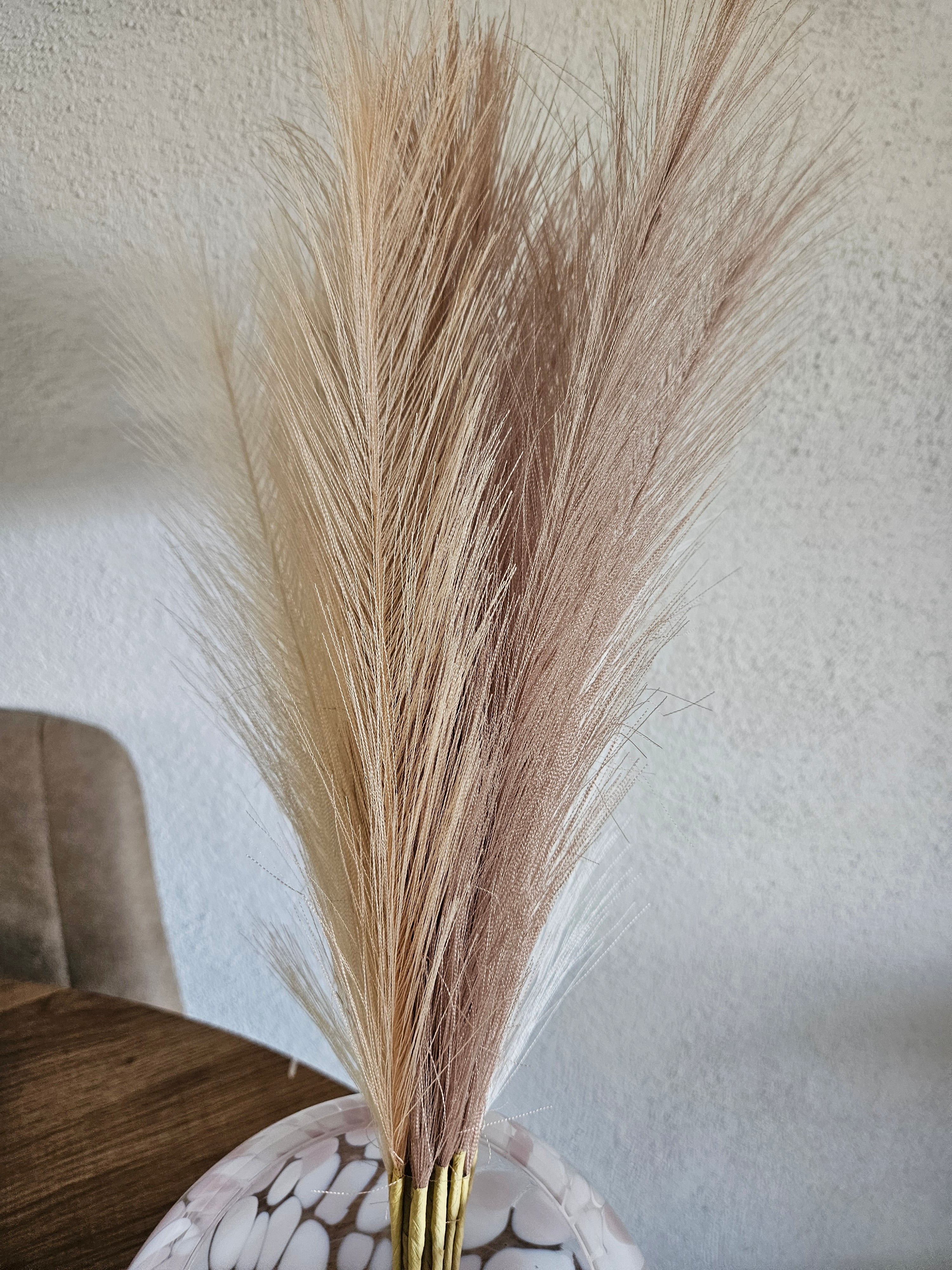 Bos pampas per bos